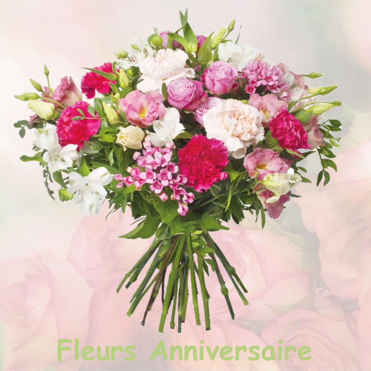 fleurs anniversaire THIERS-SUR-THEVE